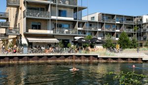 daily0005downtown-cafe-noah-amager20250820-8-aj9h71