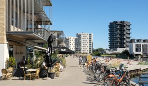 daily0009downtown-cafe-noah-amager20250820-12-onxyh3