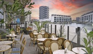 dt-cafenoah-aug22-013